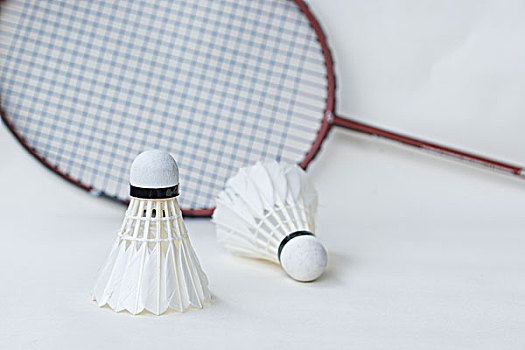 训体系的建 训体系的建