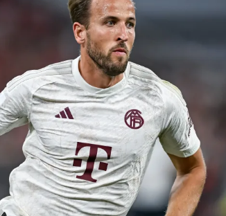 启动后会自 启动后会自