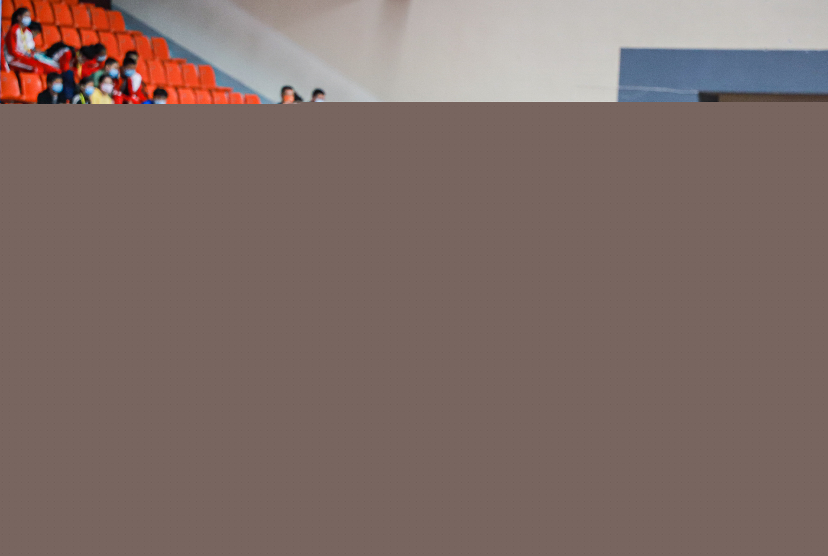 佩莱格里尼 佩莱格里尼