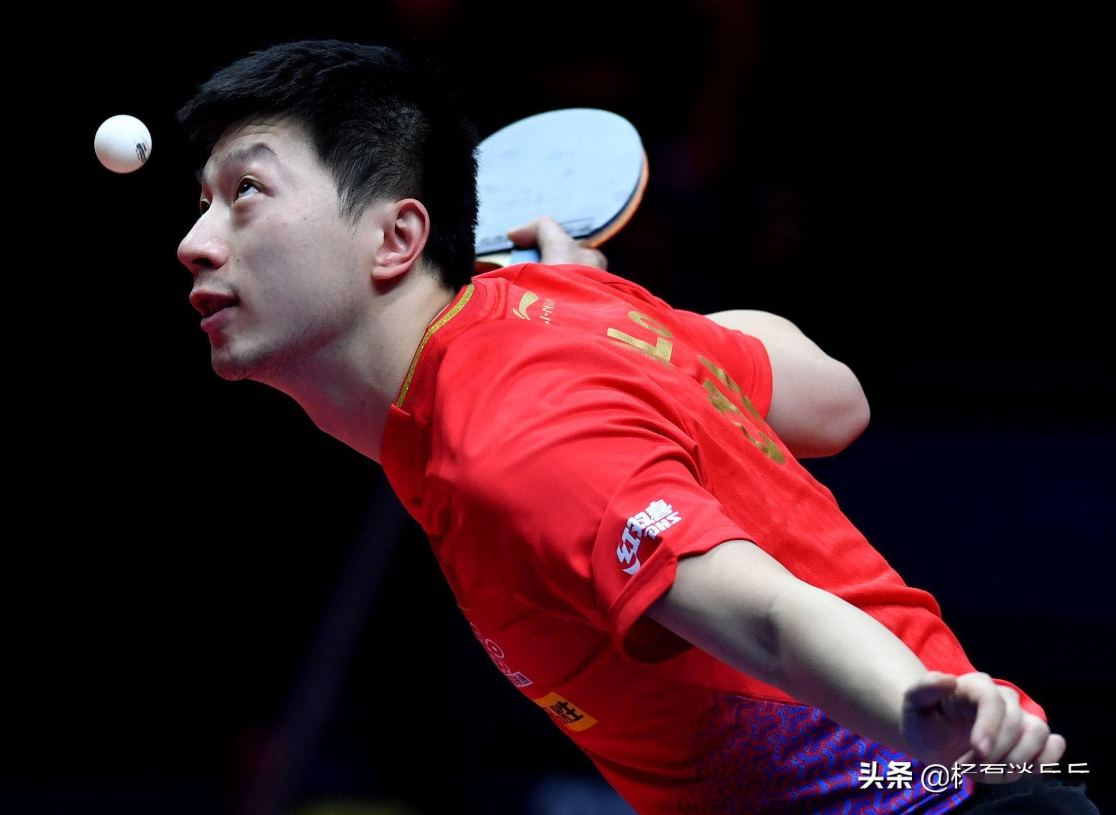 是球员职业 是球员职业