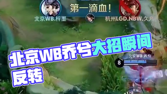 制单注金额 制单注金额